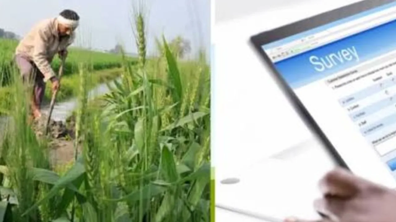 Uttarakhand में Digital Crop Survey की तैयारी, किसानों के लिए बड़ी राहत 1 उत्तराखंड न्यूज 20250926 181055 0000