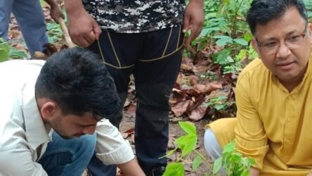 वन भूमि पर अतिक्रमण के खिलाफ युवा इंटक उत्तराखंड का प्रतीकात्मक विरोध – खलंगा में किया गया वृक्षारोपण